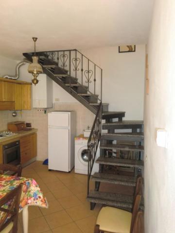 Martini - Tirrenia Appartement *